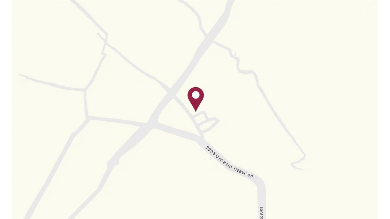 Carte stylisée de Lyon centrée sur l'adresse de LuneÉclat Jewelry 315 Rue des Marais, 69007, avec les points d'intérêt des transports en commun à proximité, symbolisant la facilité d'accès.